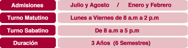 turnos y horarios